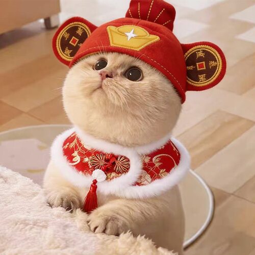 宠物猫咪狗狗财神帽子搞怪头套
