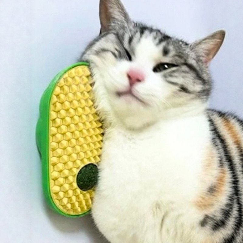 猫咪蹭痒器贴墙猫玩具猫薄荷解闷神器按摩梳猫抓板宠物多功能蹭毛,宠物/宠物食品及用品,猫抓板,淘宝优惠券,粉丝福利购,淘宝优惠卷