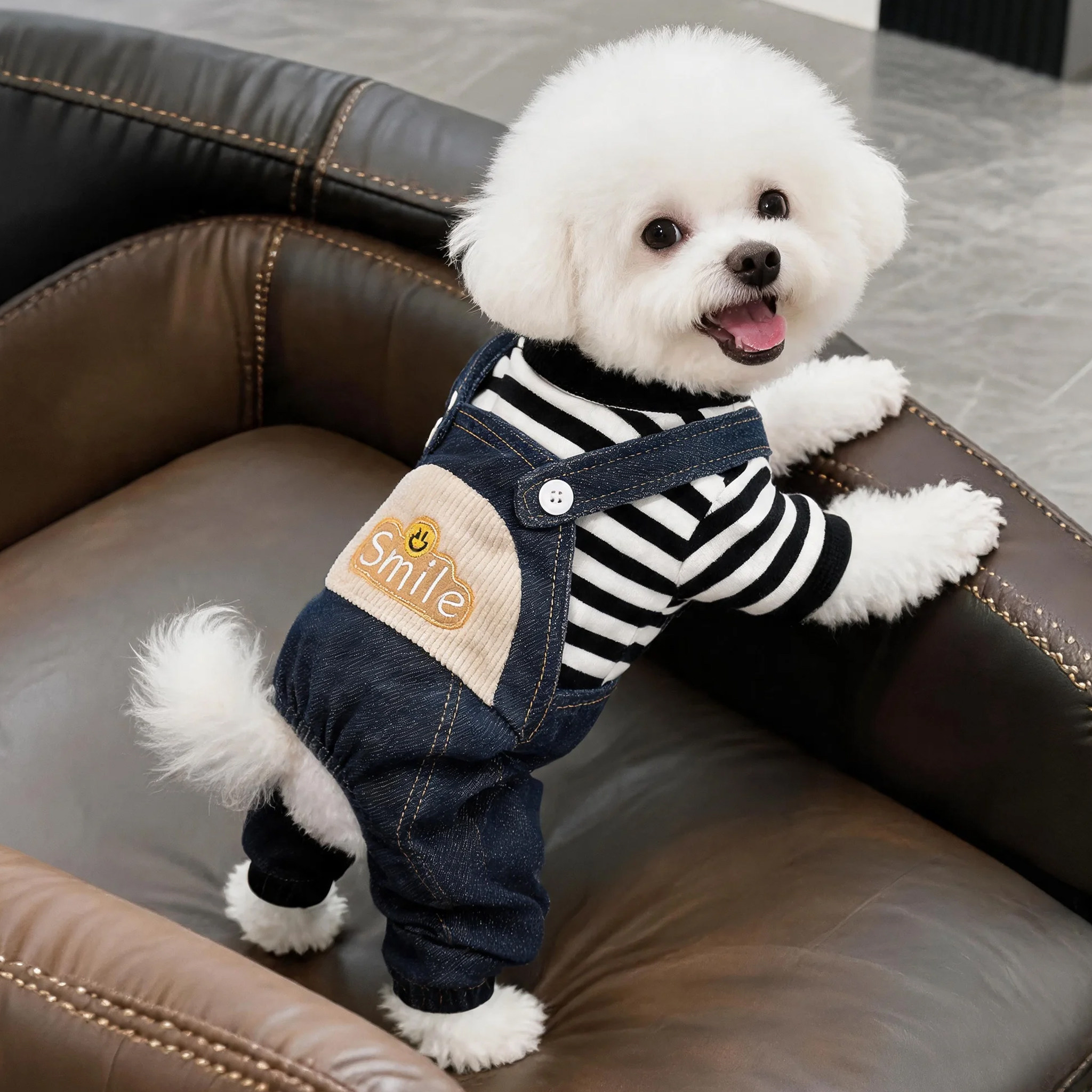 狗狗衣服秋冬款帅气牛仔背带裤比熊泰迪小型犬加厚保暖宠物四脚衣