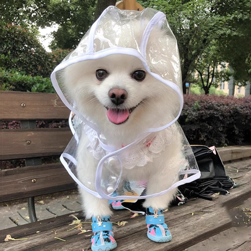 狗狗雨衣小型犬透明雨披防水斗篷图片