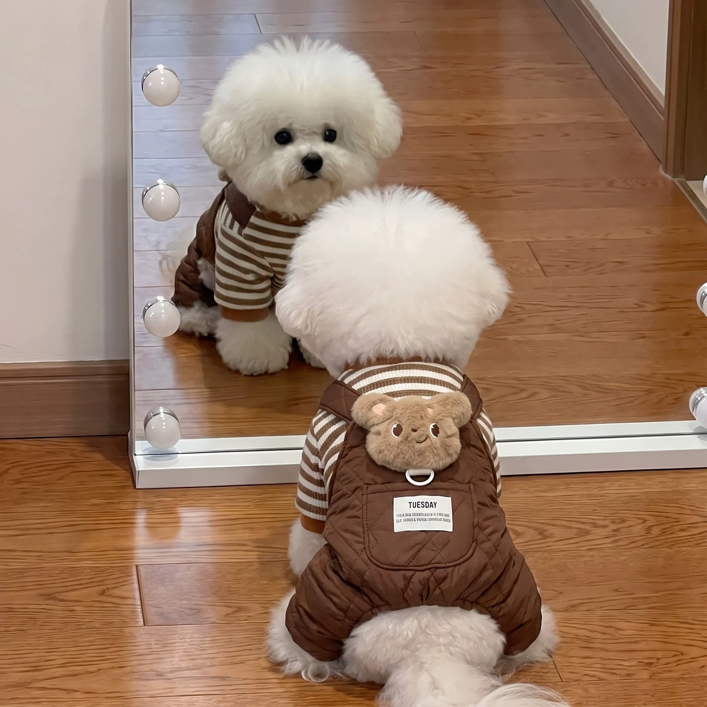 狗狗衣服秋冬款加厚保暖可牵引四脚衣泰迪博美比熊小型犬宠物服饰