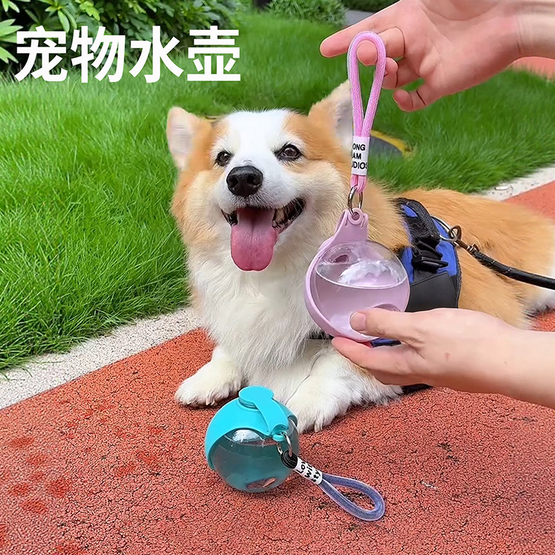 宠物水壶狗狗外出便携水杯可折叠