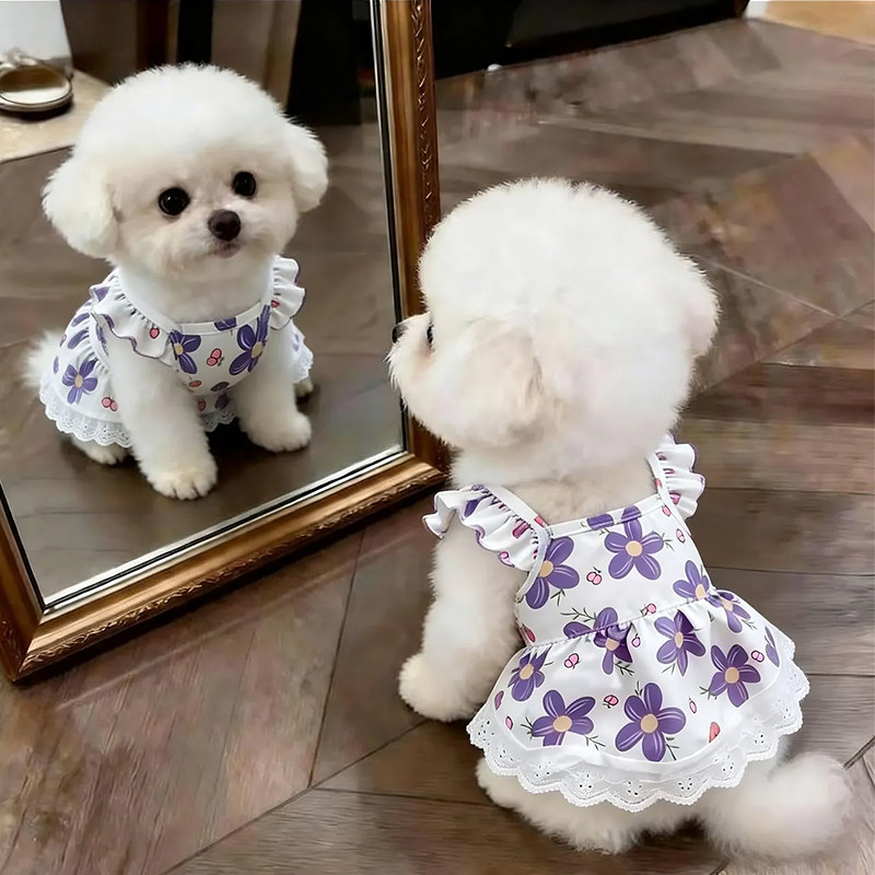 狗狗衣服夏季薄款甜美可爱连衣裙