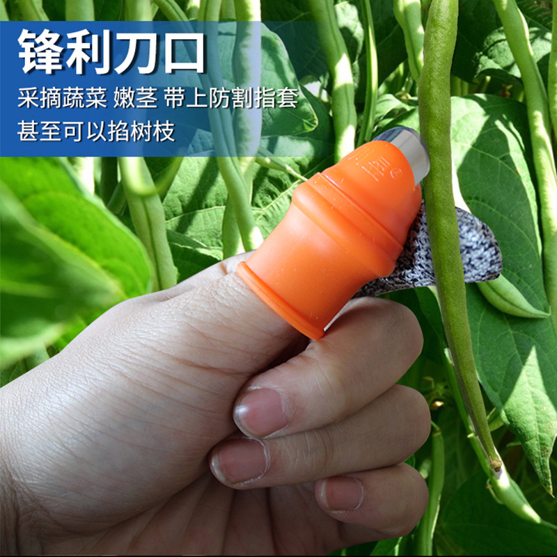 摘花椒手套神器葡萄掐尖专用铁指甲农用采摘豆角剪辣椒摘菜拇指刀