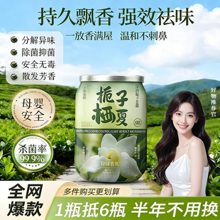 厕所香薰卫生间专用除臭神器空气清新剂去异味房间内持久固体香氛