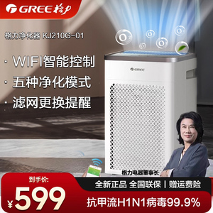 格力空气净化器家用除甲醛PM2.5除异味去烟味甲醛分解 KJ210G-A01