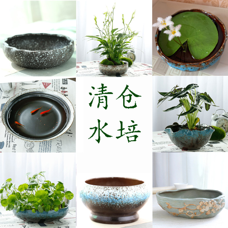水仙花盆大号水培铜钱草金钱草陶瓷无孔水养一叶莲碗莲盆清仓特价,鲜花速递/花卉仿真/绿植园艺,花盆,淘宝优惠券,粉丝福利购,淘宝优惠卷