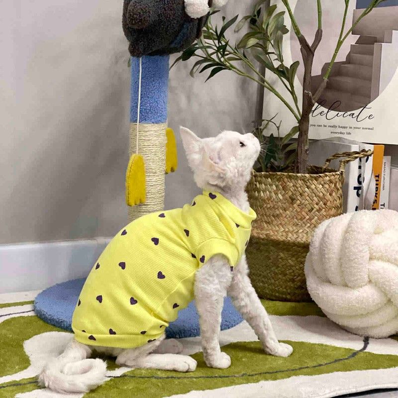 无毛猫衣服四脚纯棉矮脚护肚春秋空调房弹力柔软无毛德文猫衣服图片