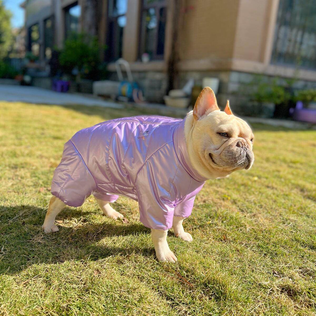 宠物衣服纸样四脚包肚衣泰迪四脚衣棉衣图纸雨衣棉袄模板公母通用,宠物/宠物食品及用品,猫宠物服装/雨衣（新）,淘宝优惠券,粉丝福利购,淘宝优惠卷