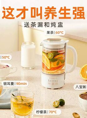罗娅养生壶办公室小型煮茶器花茶家用烧水壶多功能便携养生杯