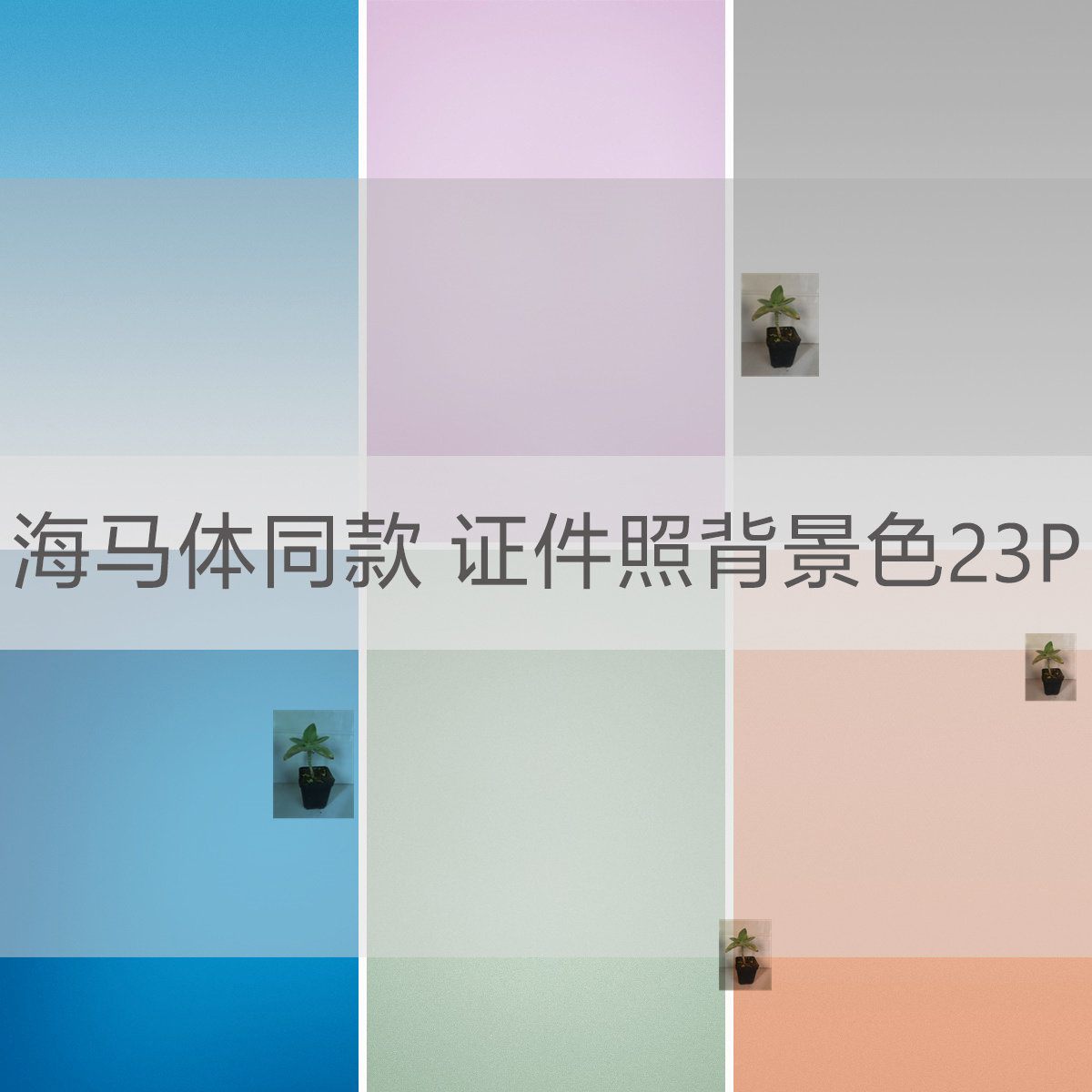 23张海马体天真蓝证件照同款背景色底色激变纯色景素材