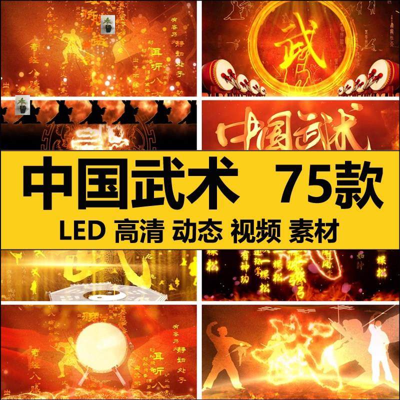 中国风水墨武术功夫表演太极南拳北腿少林 LED大屏幕背景视频素材