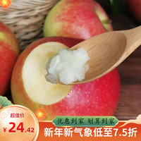 【新日期】新鲜水果粉面沙甜苹果老人孕妇宝宝辅食可刮泥红星苹果