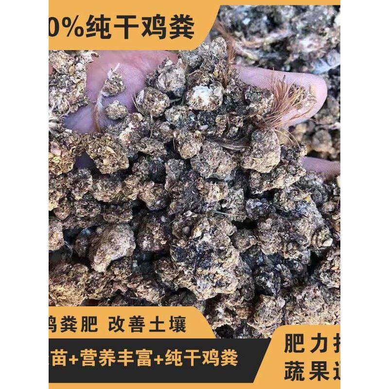 纯干鸡粪肥种菜底肥蔬菜