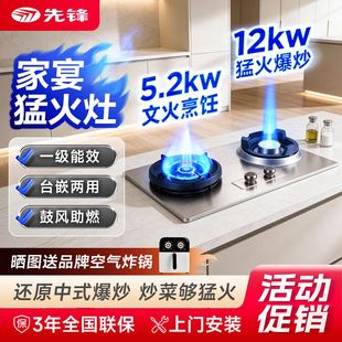 先锋厨师家宴霸王煤气灶家商两用猛火双灶嵌入式台式天然气液化气