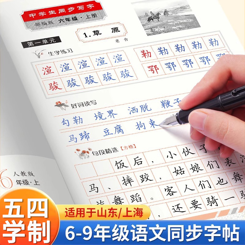 一手好字同步字帖五四学制人教版