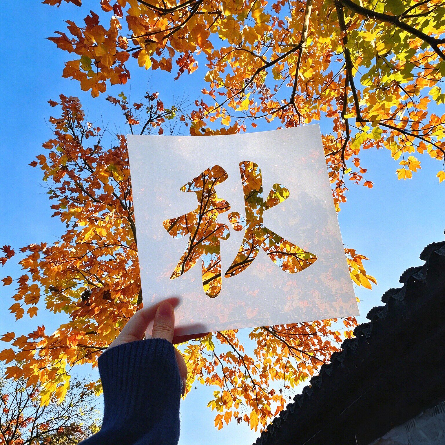 秋字镂空模版秋字镂空剪纸秋日落叶拍照道具氛围感出片背景板神器