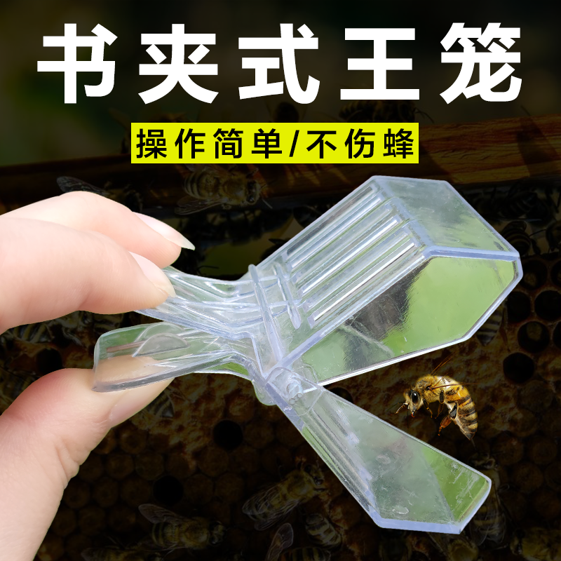 书夹式王笼夹子关蜜蜂蜂王囚王中蜂意蜂塑料防逃器养蜂工具