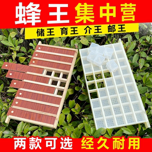 新型多功能储王器 邮寄王笼蜂王储存盒囚王笼独立格45个装蜂具
