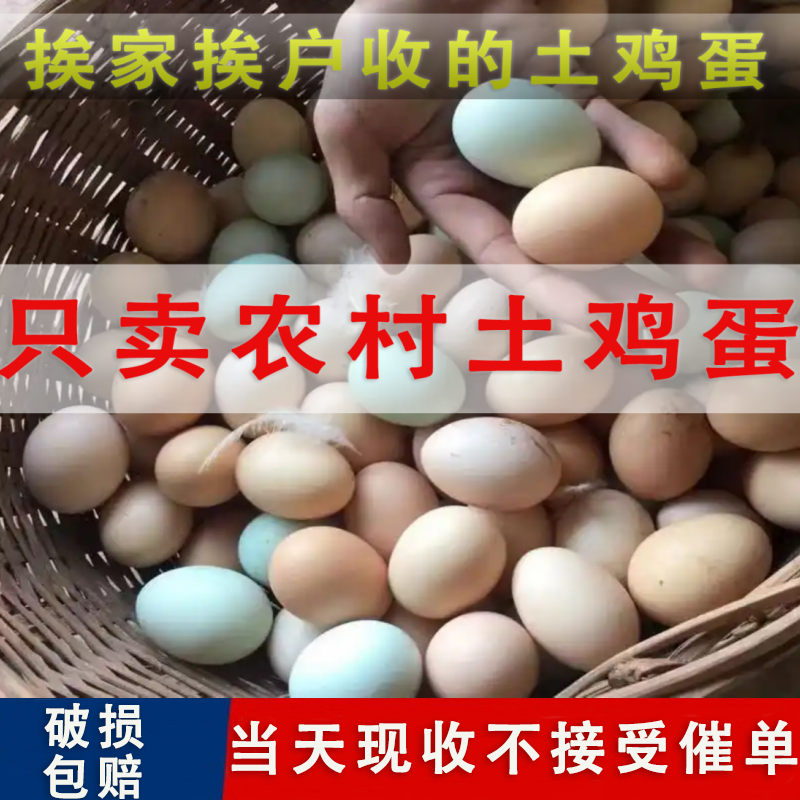 正宗农家散养现捡绿壳真正的农村五谷虫草家散养60枚新鲜土鸡蛋