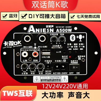 双话筒大功率蓝牙功放板12V24V220V低音炮功放板音箱主板车载通用