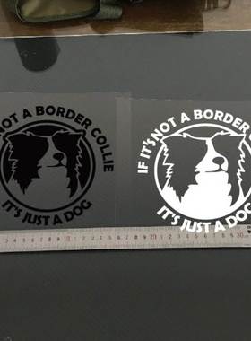 汽车贴纸Border Collie 车后玻璃贴翼虎福克斯RAV4 边牧反光车贴