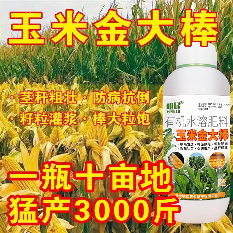 玉米一号金大棒玉米专用肥增产增收籽粒饱满抗倒伏通用型叶面肥