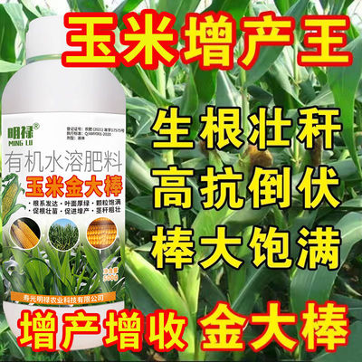 玉米金大棒促根壮苗专用水溶肥抗病高产叶面肥耐旱涝抗倒伏水溶肥