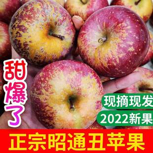 现摘云南昭通苹果新鲜孕妇水果冰糖心丑平果野生整箱10斤萍果脆甜