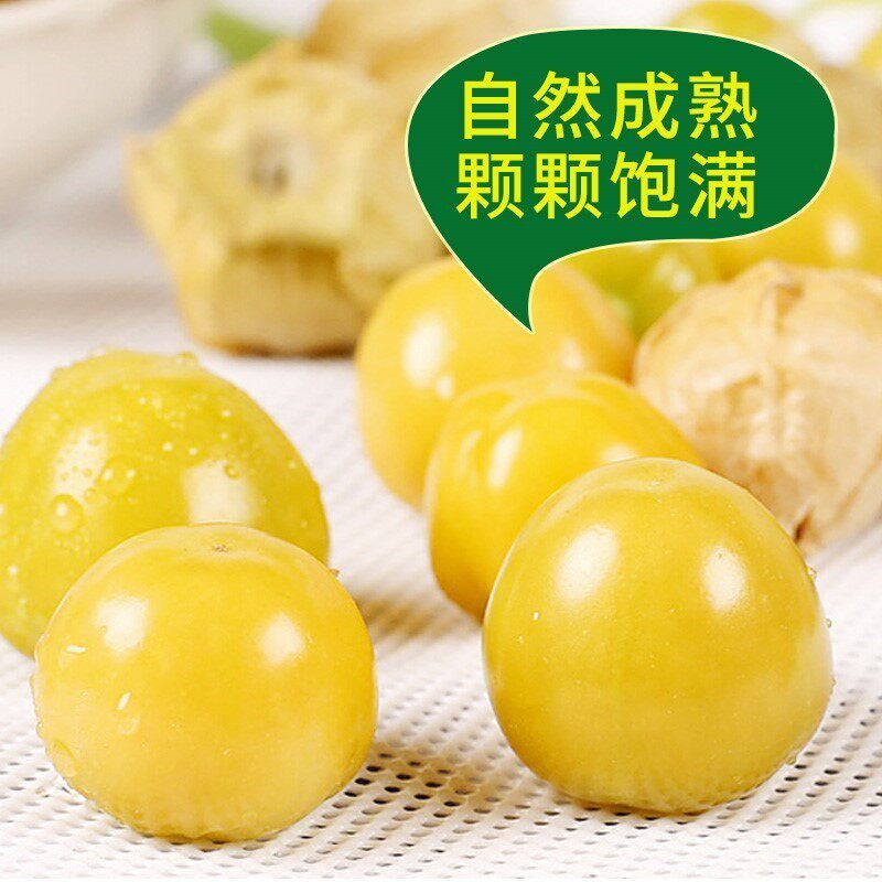 没吃过的金灯姑娘果灯笼果包邮5斤大黄菇娘洋姑娘果黑龙江