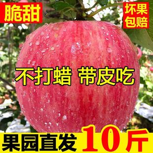 新鲜水果整箱平果丑冰糖心 洛川红富士苹果当季 脆甜