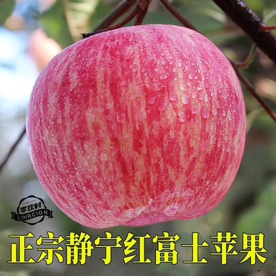 20年甘肃静宁条纹红富士苹果
