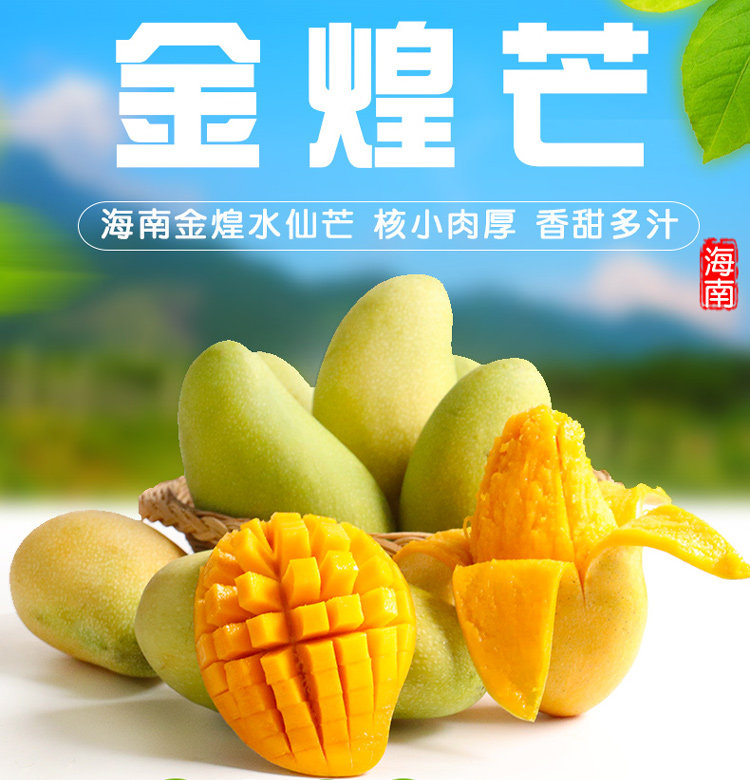 芒果新鲜包邮水果海南水仙芒金煌芒果金煌甜心芒果净重10斤包邮