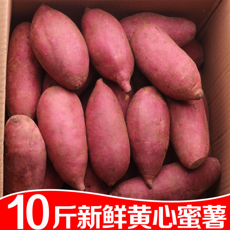 沙地红薯新鲜甜蜜薯10斤农家板栗地瓜沙地红心黄心小山芋现挖番薯