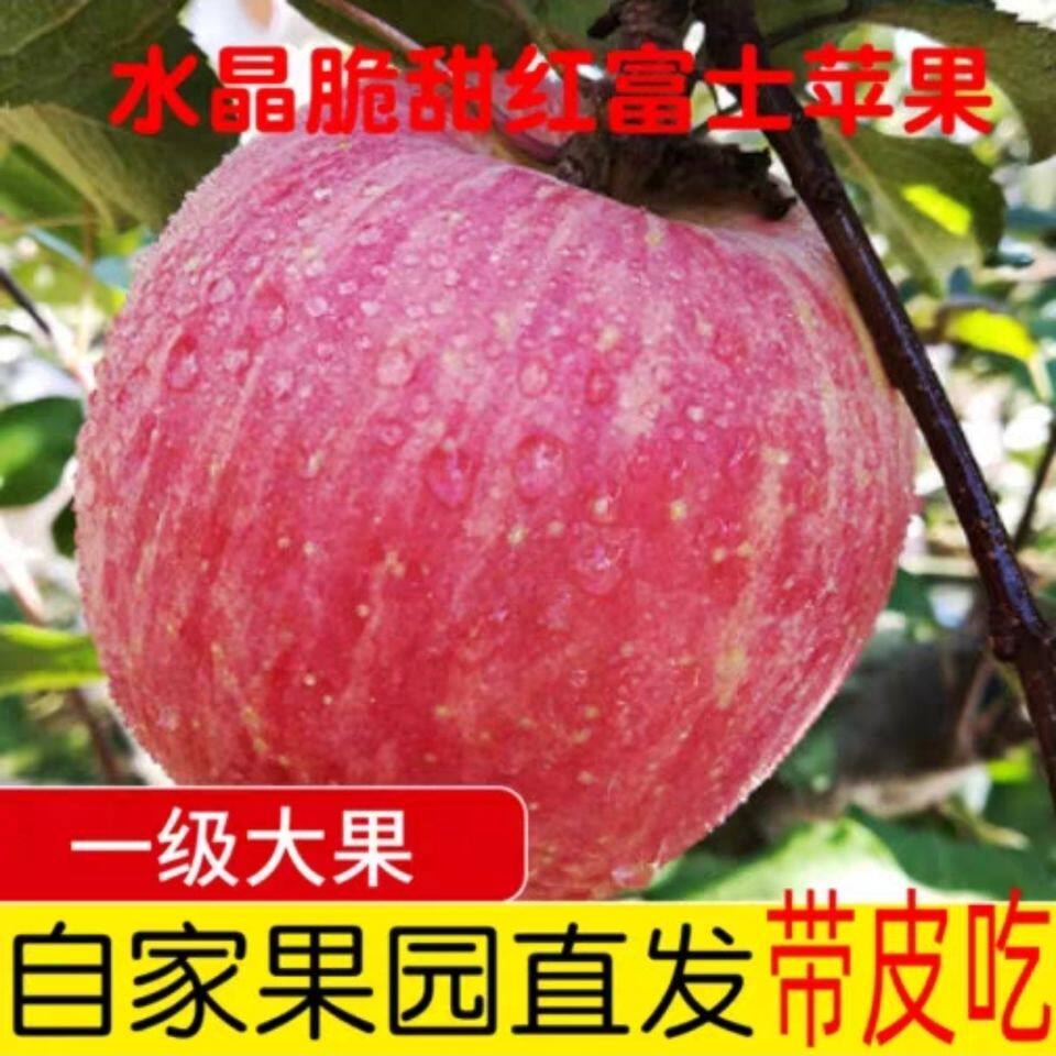 现摘苹果新鲜水果当季山西万荣县红富士带箱5斤脆甜冰糖心