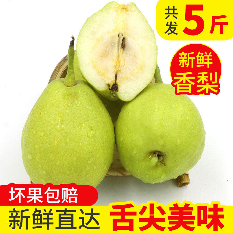 新鲜水果小梨子香梨5斤装小香梨新鲜香梨酸甜多汁新鲜水果梨子
