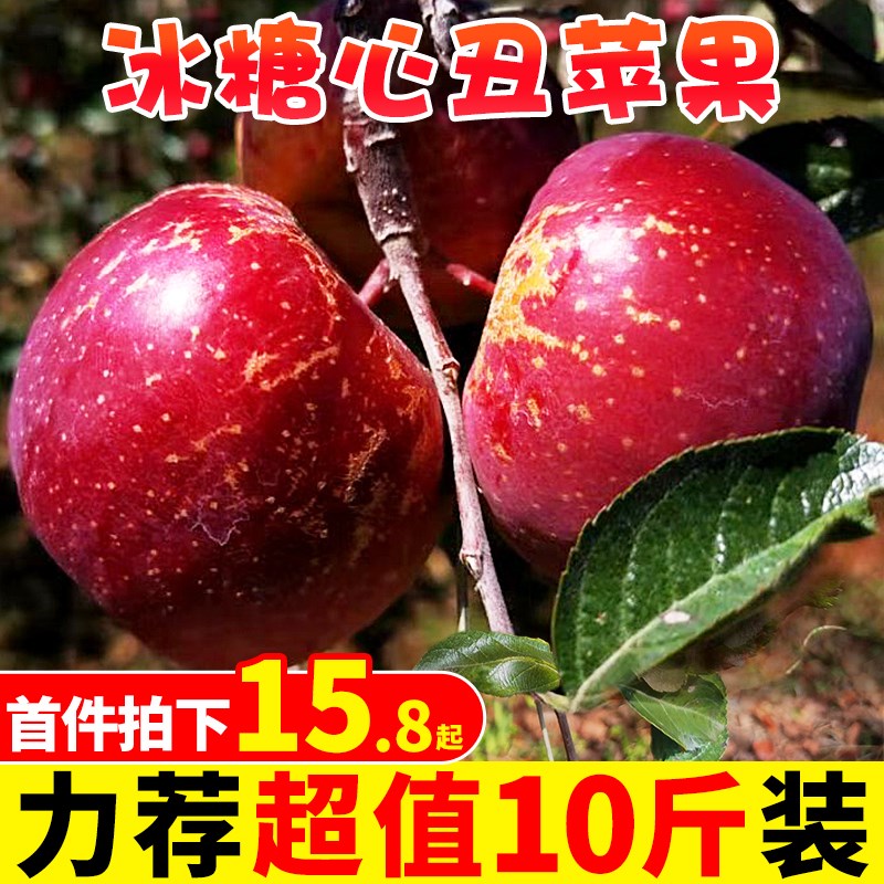 大凉山盐源心10丑苹果水冰糖