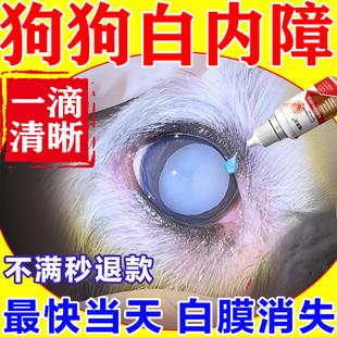 狗狗白内障专用眼药水中老年犬宠物眼睛流脓日本角膜炎千寿滴眼液