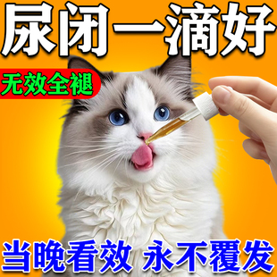 猫尿闭特效猫咪药泌尿通系统消炎利尿通尿频尿血尿路感染宠物猫用