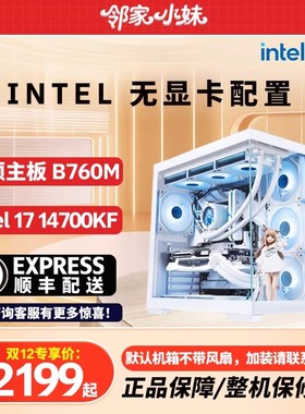 邻家 英特尔无显卡 121F/124F/225F/126KF/134F/146KF/147KF 整机