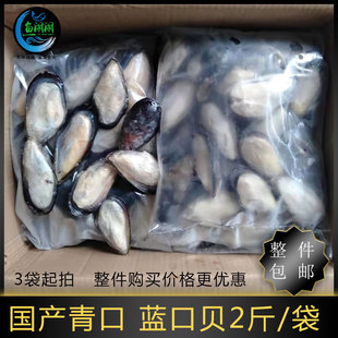 冷冻青口贝2斤国产半壳贻贝野生新鲜蓝口贝火㶽烧烤整件包邮