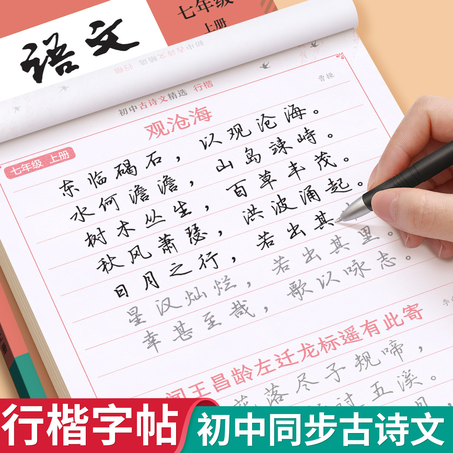 初中必背古诗文行楷练字帖