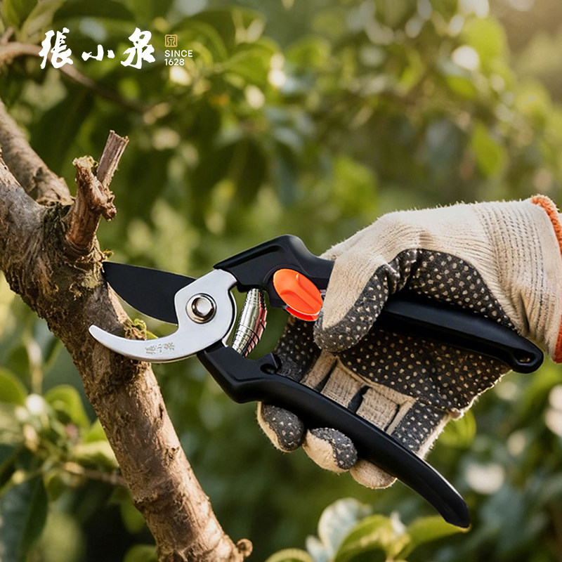 张小泉修枝剪碳钢原装剪刀果树园林修剪花艺花枝树枝园艺剪子