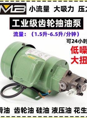 三角泵齿轮泵WJP循环机油泵机床润滑泵摆线泵液压油齿轮油食用油