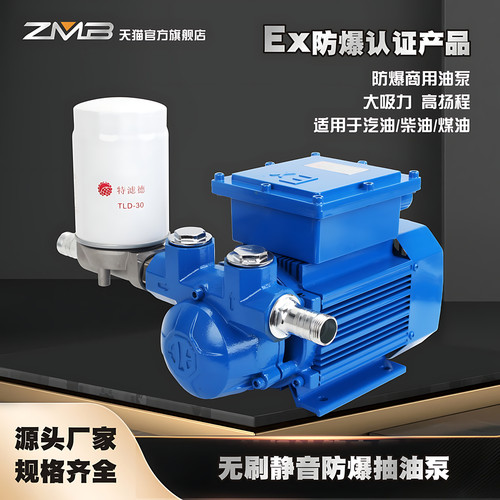 无刷静音防爆抽油泵12V24V220V防爆电动汽油泵柴油大流量加油泵