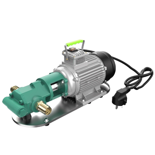 正反转自吸式齿轮泵电动抽油泵柴油机油食用油液压油220V柴油泵