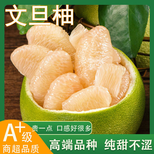 玉环文旦柚当季现摘新鲜水果