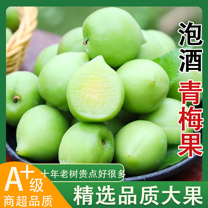 2026福建泡酒青梅果新鲜现摘现货酵素酸脆梅子鲜果孕妇水果大果