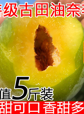 福建古田油奈奈李 新鲜5斤桃形李脆甜脱骨青奈李子脆李非黄金奈李