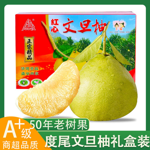 度尾文旦柚超甜新鲜现摘